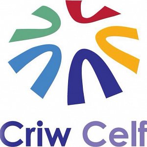 Invitation To Tender: Designing an evaluation framework for Criw Celf